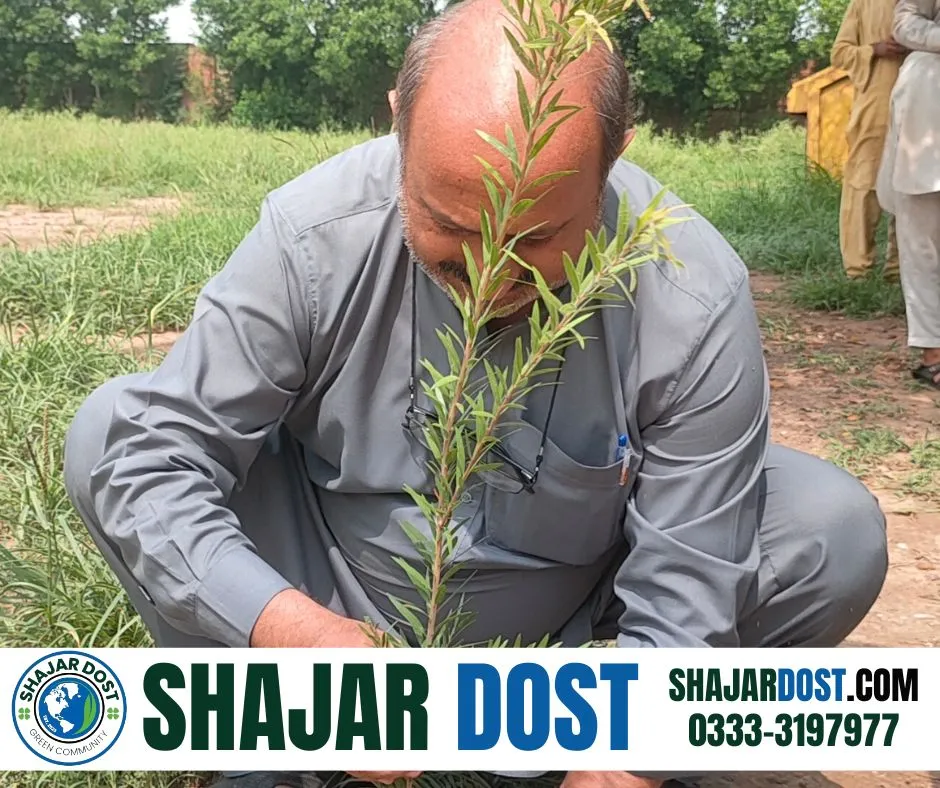 Green Seekers Activity